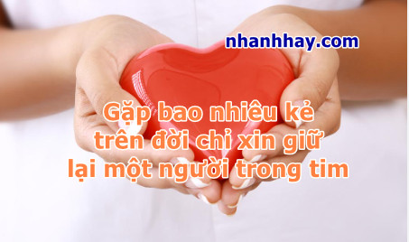 Gặp bao nhiêu kẻ trên đời chỉ xin giữ lại một người trong tim – Ý nghĩa quá Gặp bao nhiêu kẻ trên đời chỉ xin giữ lại một người trong tim – Ý nghĩa quá